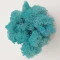 Tiffany blue