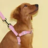 A pet dog double-color harness dog leash for indoor and outdoor use 5