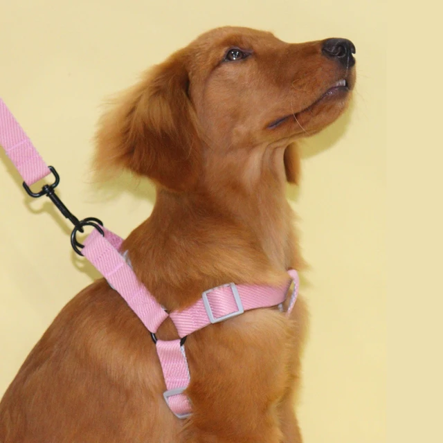 A pet dog double-color harness dog leash for indoor and outdoor use 5
