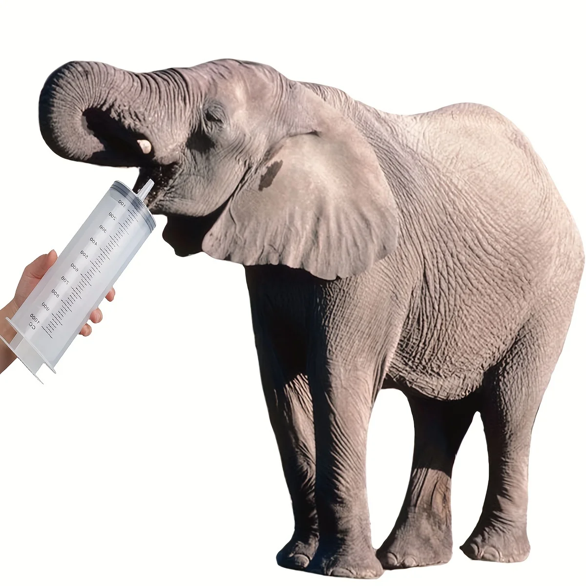 1000ml Large plastic garden syringe 27.6 Inch Tube Blunt Needle Individual Sealed Plastic Garden Syringe Liquid Paint Epoxy Res