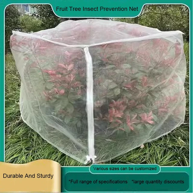 Fruit Tree Insect Bird Prevention Net Mosquito Net Vegetable Greenhouse Net  Agricultural Planting Net - AliExpress