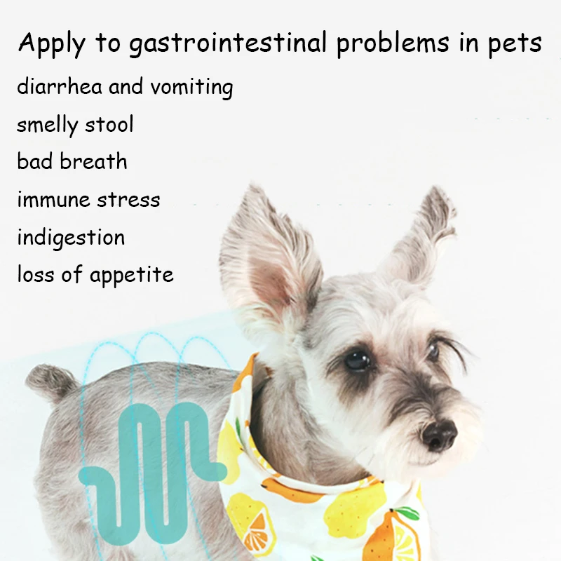10 Bags/Box Gastrointestinal Health Probiotics for Cats Dogs PET Nutritional Supplements Diarrhea Vomiting Improve Appetite pet probiotics pet nutrition supplement