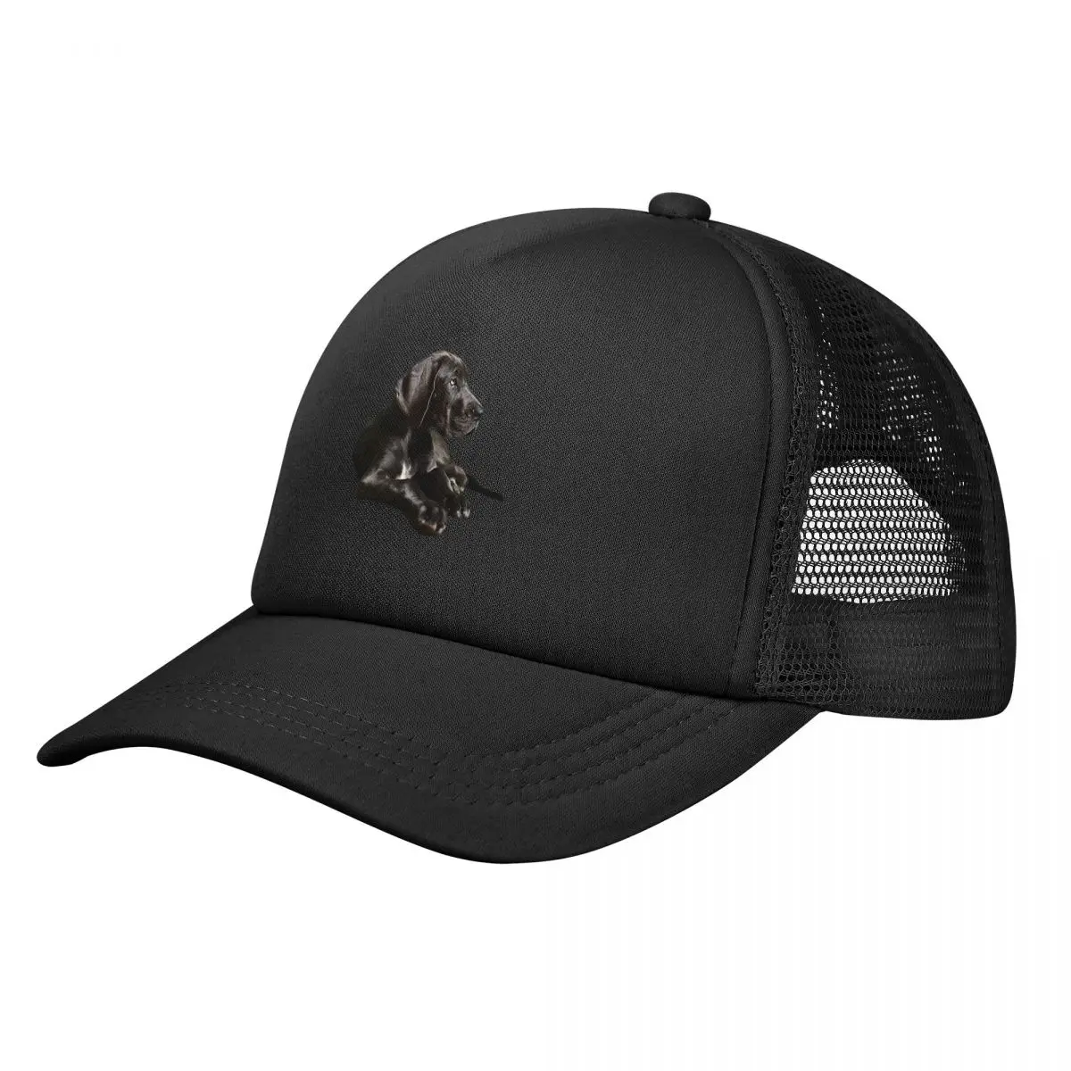 

Black Great Dane - Fantastic Beauty! Baseball Cap Snapback Cap Golf Wear Woman Men's