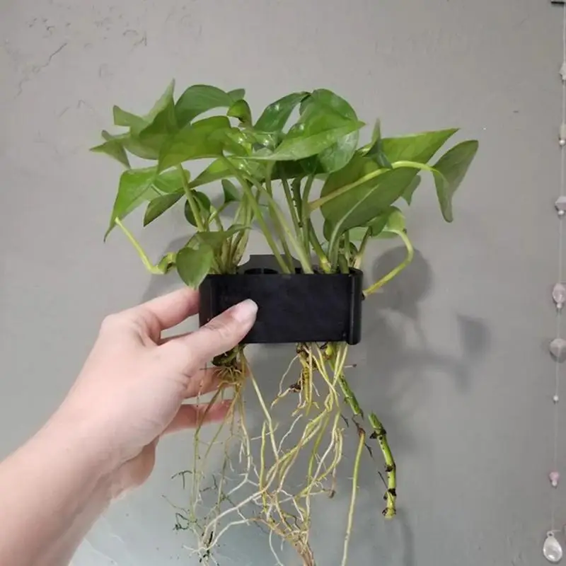 Soportes Para Plantas De Acuario De Acrílico Transparente - 2 Unidades, Con Gancho Ajustable, Para Plantas Semiacuáticas