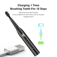Sonic Electric Toothbrush USB Rechargeable High Frequency Cleaning 5 Cleaning Modes for Adults IPX7 Waterproof DuPont Brush Head 2