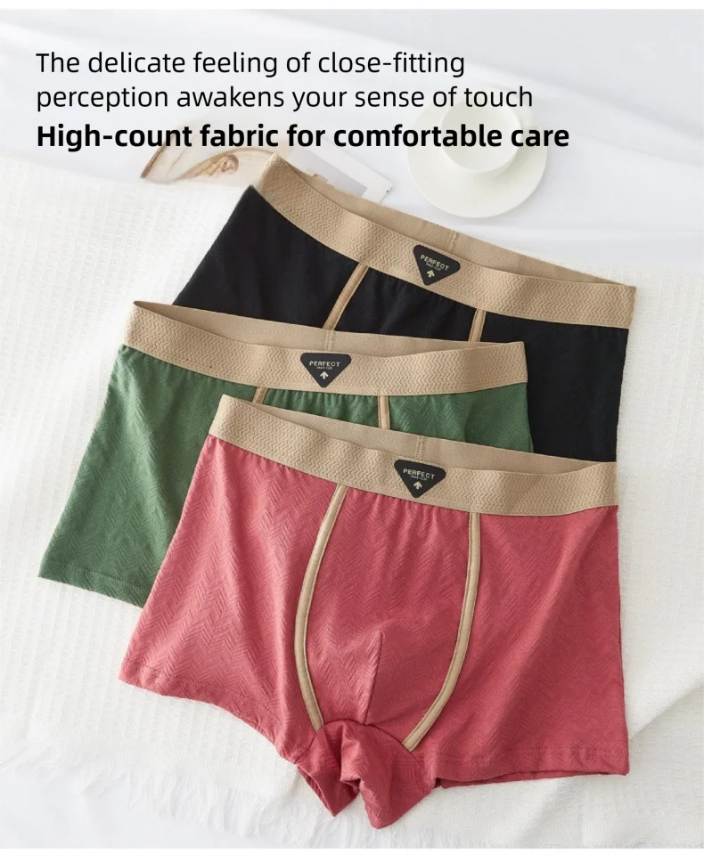 3PC 100% Cotton Men's Underwear Autumn Winter New 10A Antibacterial BoxerShorts Loose Comfortable Men's Quadrangle Underpants Sa96bd4d39291405a90969ae70c7f245cS