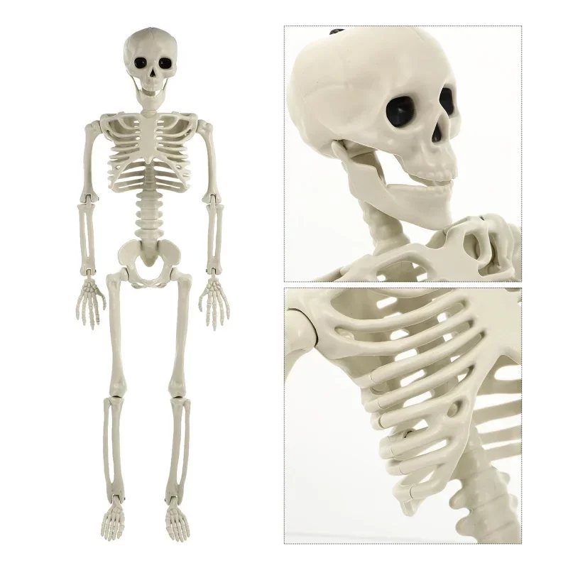 Spooky Full Body Poseable Skeleton Halloween Decoration for Indoor and Outdoor Use
