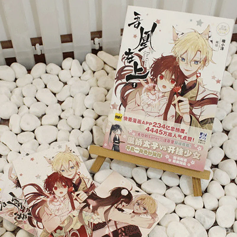 Рисунок 4 - Книга в китайском стиле Wu Huang