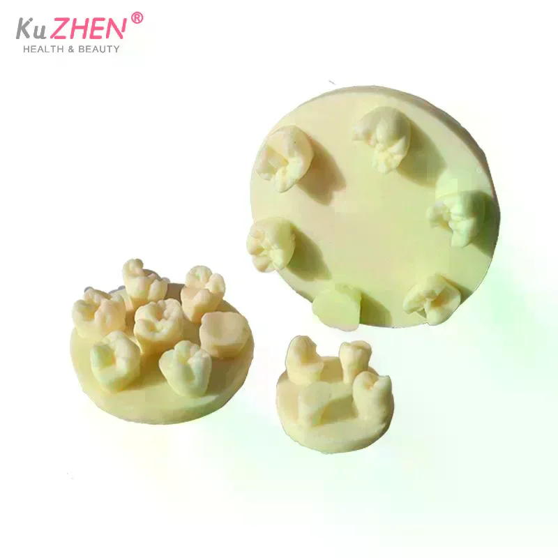 1PCS 레진 치아 형태학 연습 모델 치근관 충전 인레이 레진 모듈 치과 교육 훈련용 레진 모델 도구