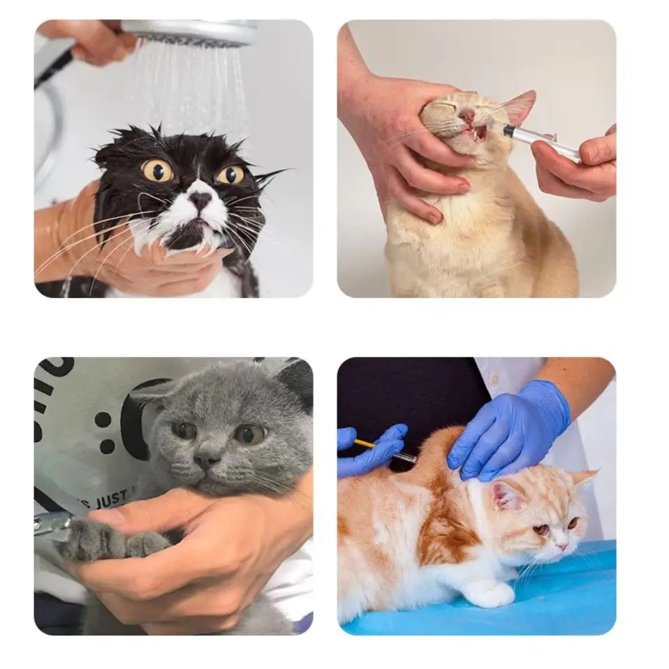 조절 가능한 실리콘 고양이 발톱 보호대 목욕용 긁힘 방지 고양이 신발 고양이 목욕용 워시 부츠 고양이 발톱 커버 애완동물 그루밍 S