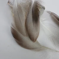 50PCS Natural Barred Mallard Duck Flank Feathers Wings Tails Streamers 2
