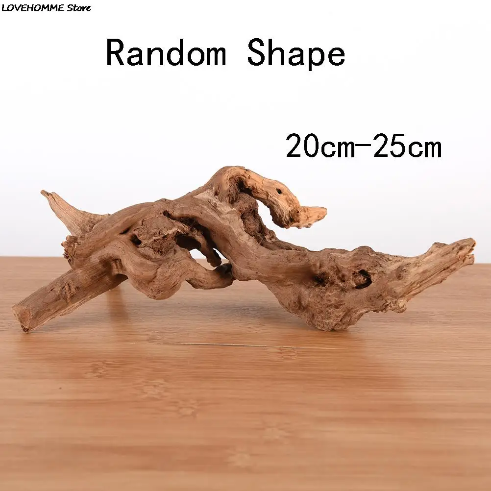 Slide image 2f6bdfb1b6994579a685278dfd2f4a05