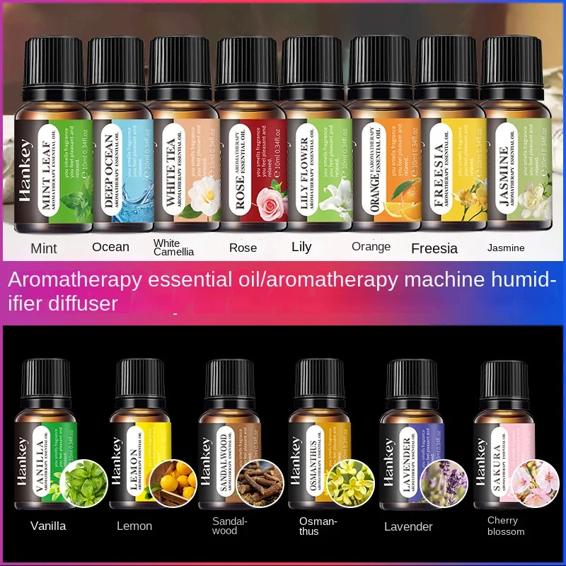 Essential Oil Indoor Aromatherapy Refreshing Long-lasting Air Freshening