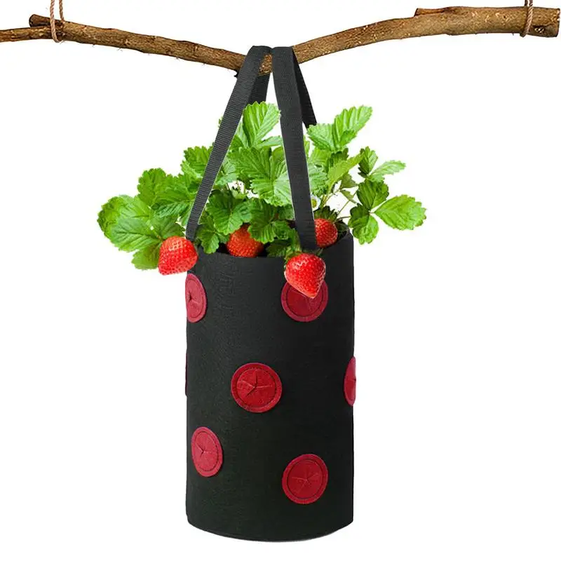 

Planting Bags 3 Gallon Planting Bag with Handle for Plants Folding Indoor Outdoor Plants Containers for Tomatoes Potatoes