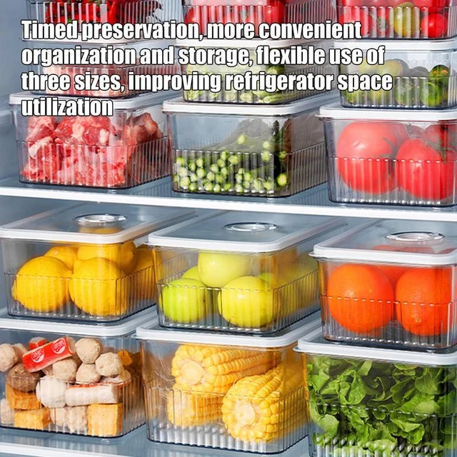 Fridge Storage for Food Safety