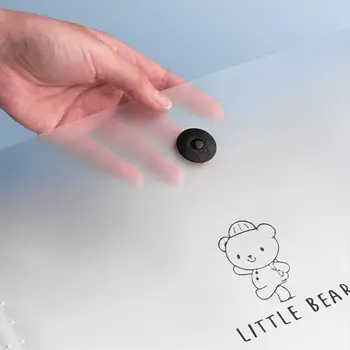 Cartella espandibile multistrato Borsa per organo A4 Cartella di file A4 traslucida ad alta capacità Contatto dell'organizzatore di file Little Bear