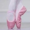New Ballet Dance Shoes Yoga Gym Flat Slippers Glitter Pink Ballet Dance Shoes For Girls Children Women Teacher 2