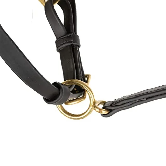 All Weather Trail Halter for Horses/Bridle Combo: Nylon Black Quick-Release Buckles UV-Resistant Material for Versatile Riding