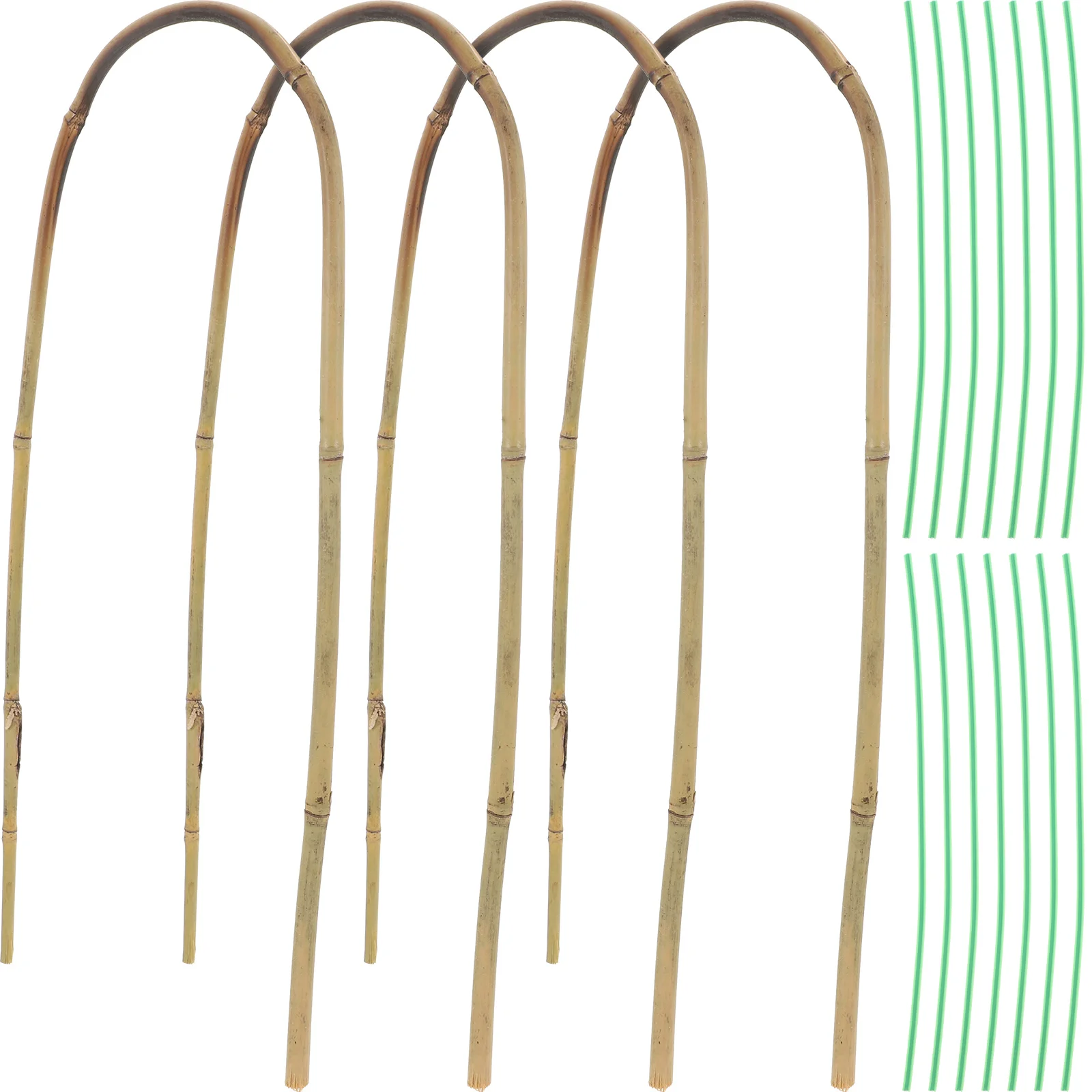 

U Hoop Trellis Plant Support Stake Small for Potted Plants Garden Indoor Bamboo Mini