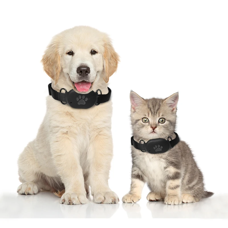 GPS Dog Tracker-Real-Time Location Collar, Waterproof & Rechargeable Pet Locator for Small/Medium Dogs