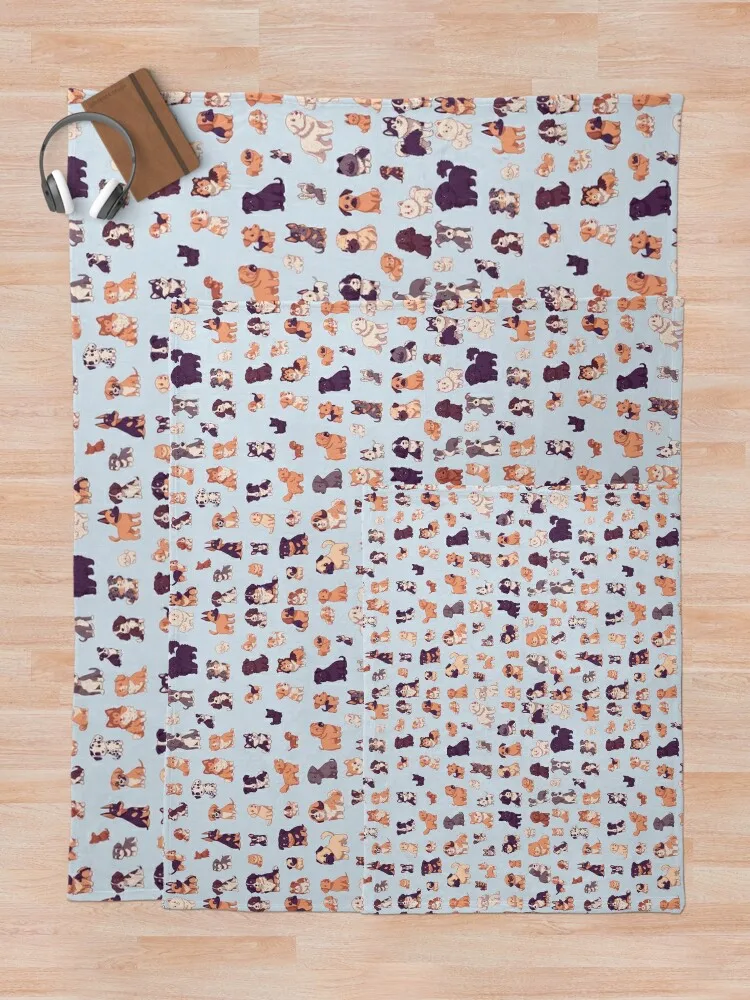 ���� ������ ������ ���� �� ��, 87 �� ���� ������ ���, ���� ���� ķ�� ���