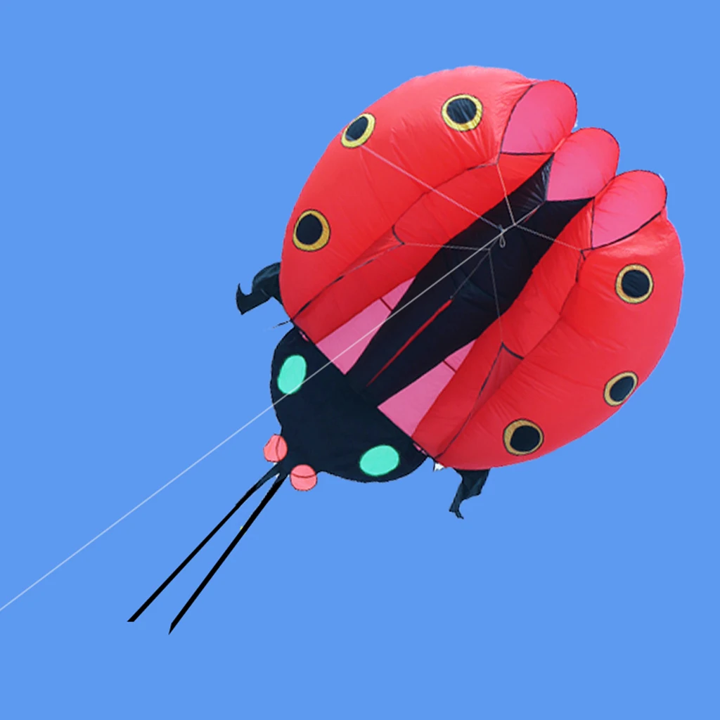 9KM 2㎡~5㎡ Ladybug Kite Pilot Lifter Kite Single Line Soft Inflatable