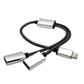 1 Type C To 2 USB