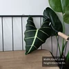 plant-pillow-k