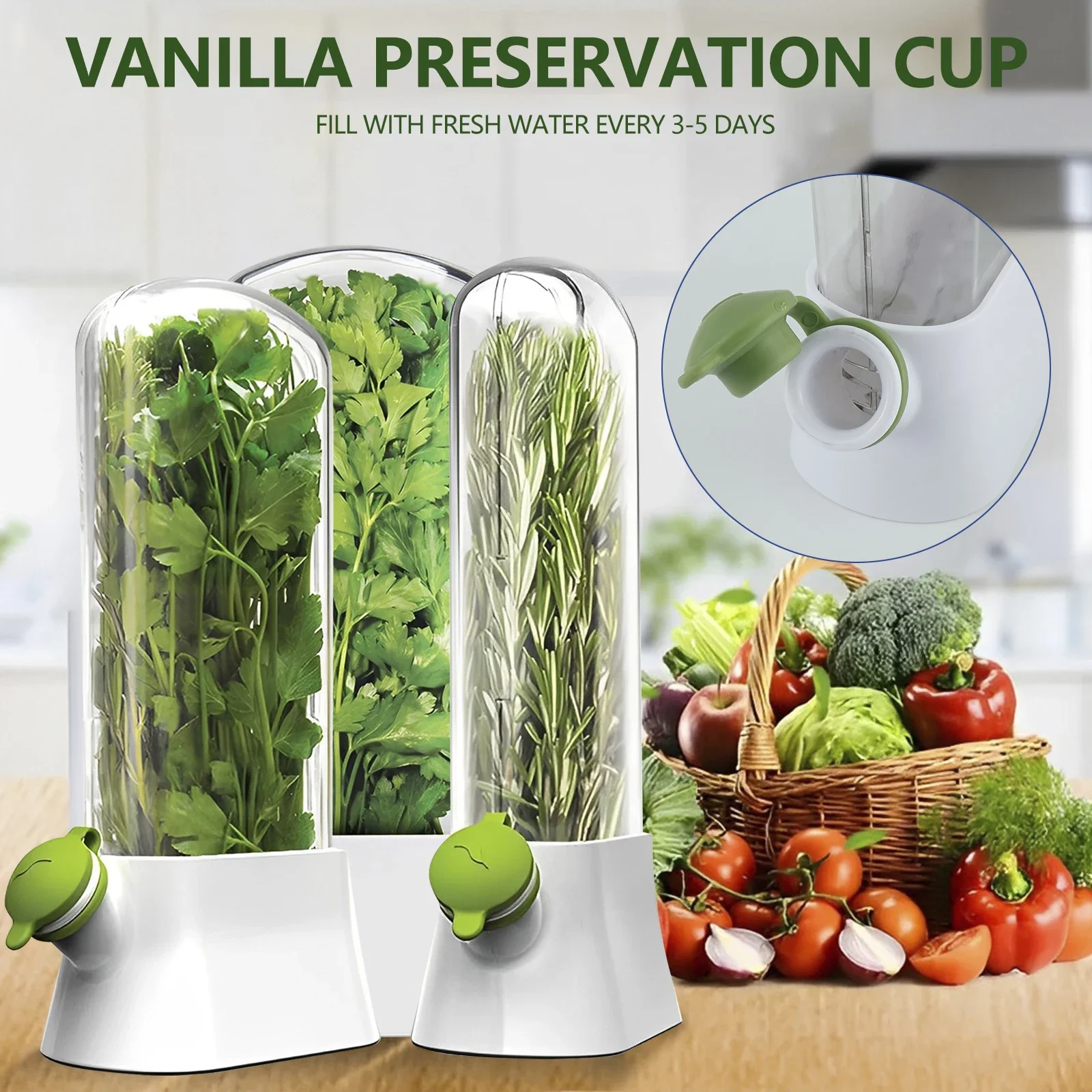 Refrigerator Herb Saver Storage Container 2 Refrigerator Herb Saver Storage Container 2