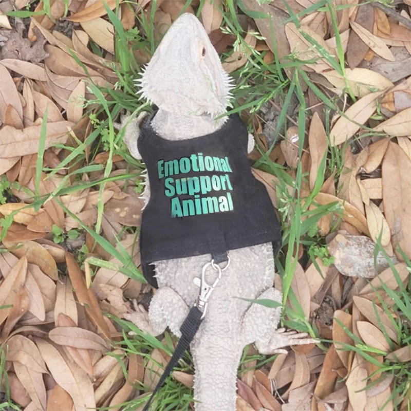 Chameleon Lizard Colorful Simple Canvas Clothes Traction Rope Climbing Pet Outing Tank Top Style Chest Strap