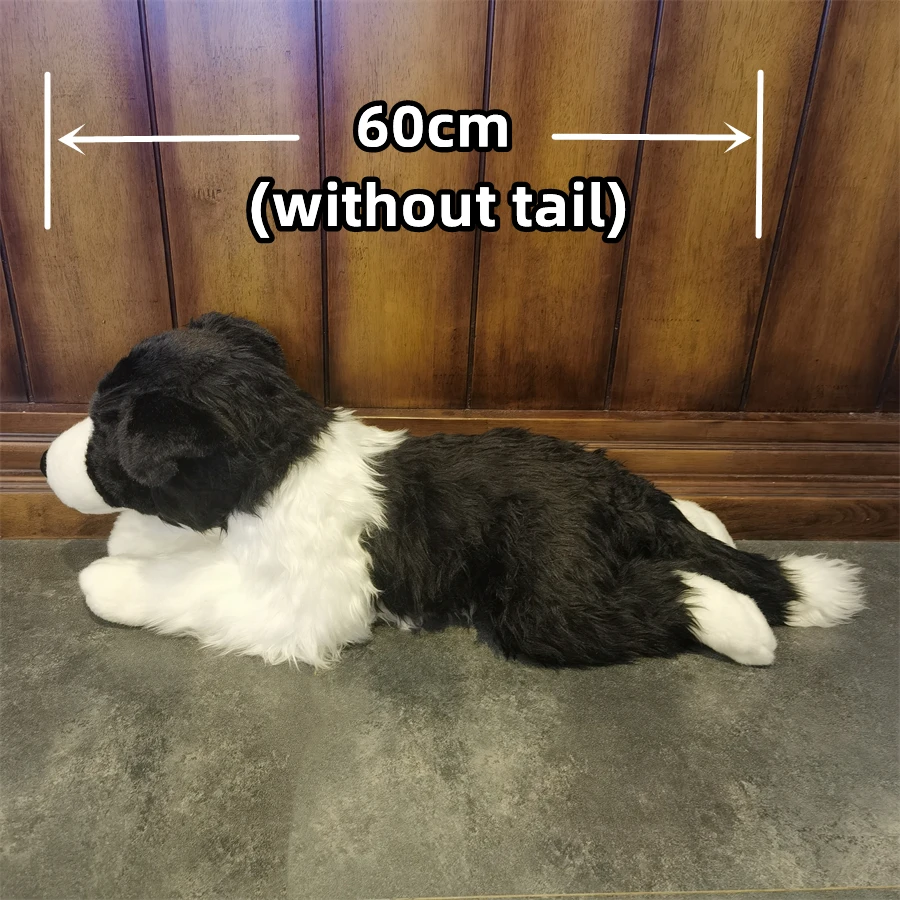 Sa98730311fe045d3bb9ae757fb692ae3a - Border Collie Gifts