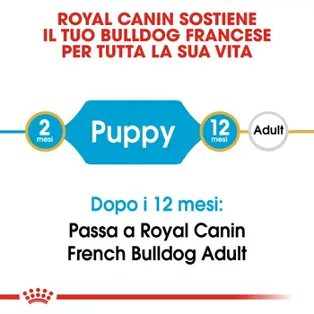 French Bulldog Puppy  - Crocchette per Cani 10 Kg