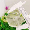 2PCS Natural Crystal Quartz Swan Carving Mini Animal Statue Healing Lucky Energy Gemstone Home Decoration Crystal Crafts Gift 6