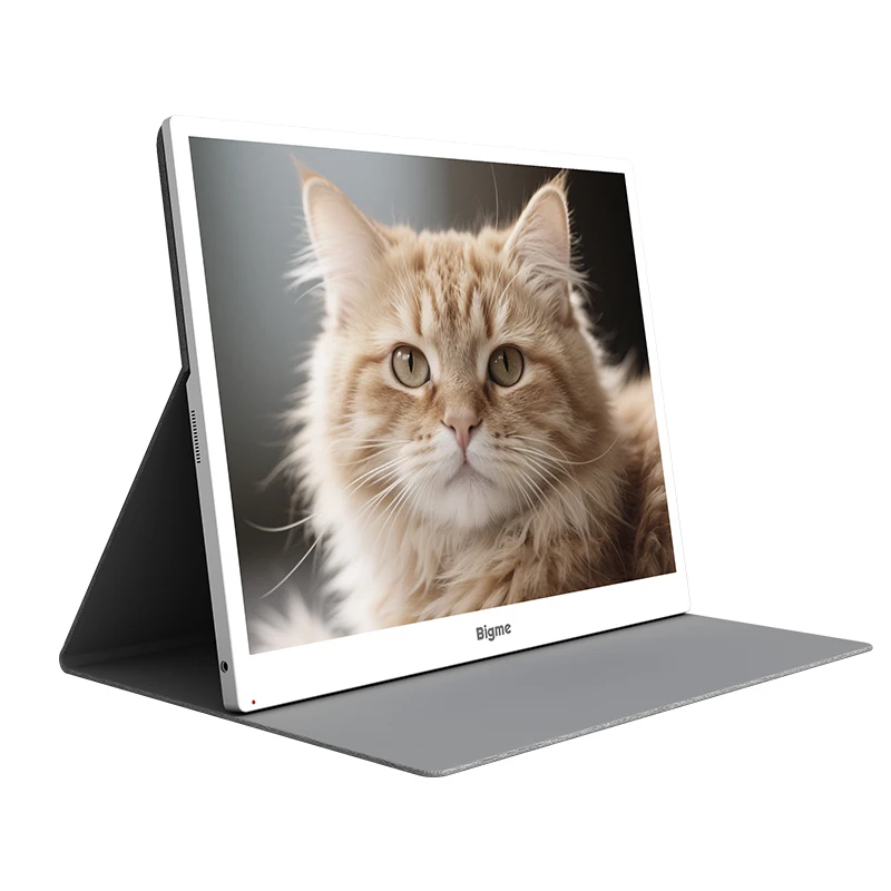 Bigme B13 Color E-ink Monitor 13.3 Inch 3K 3200x2400 ePaper