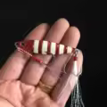 Red Zibra Glow