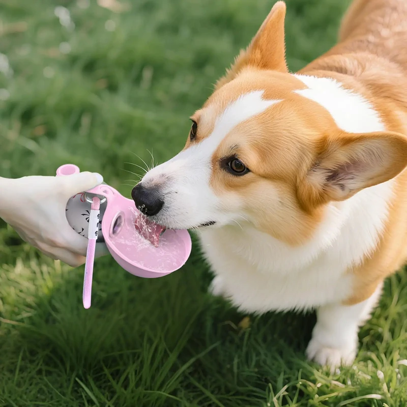 Outdoor dog water bottle