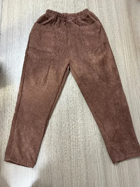 Women Baggy Trousers Winter Thin Velvet Casual Solid Color Elastic High Waist Loose Warm Clothes Harem Corduroy Pants B05 2