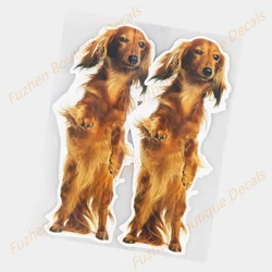 Fuzhen Boutique – décalcomanies en vinyle, accessoires extérieurs, créativité sur pied, Animal drôle, décalcomanies de décoration de voiture 