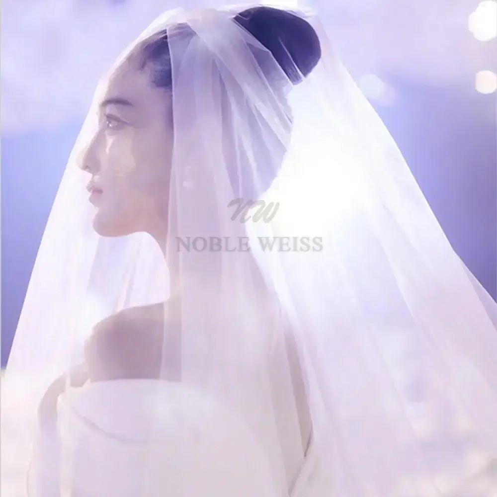 Ribbon Edge Wedding Veils Tulle Long Bridal Veil Two Layer Bridal Veil Long Party Veils Wedding Accessories Customized bridal veil