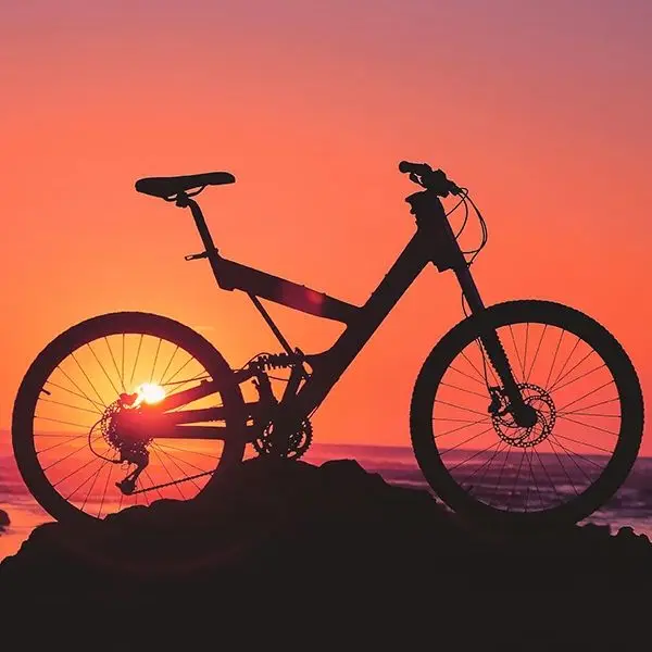 FXG Bicycle Tire Shop Store