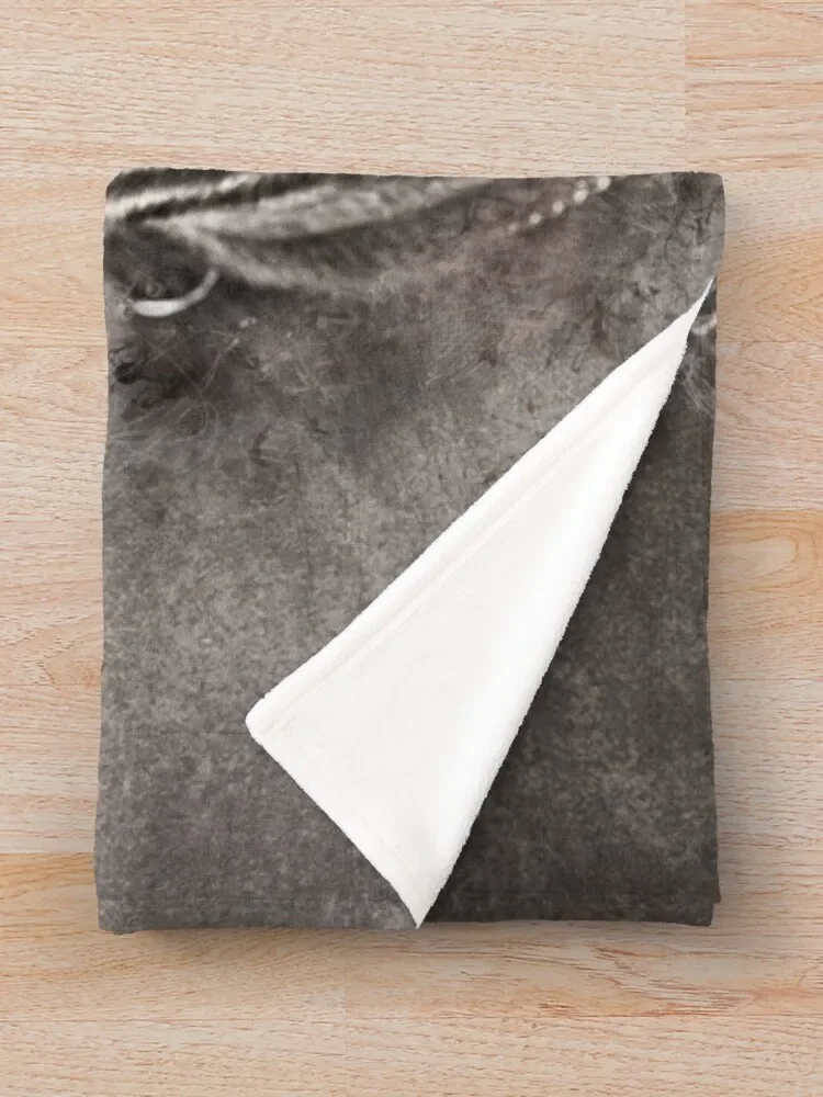 �Ƹ޸�ĭ �����۵�� �׸���-Amstaffordshire ������ ���, ���� ���� �Ƹ��ٿ� ���, ���Ÿ� �����̳�