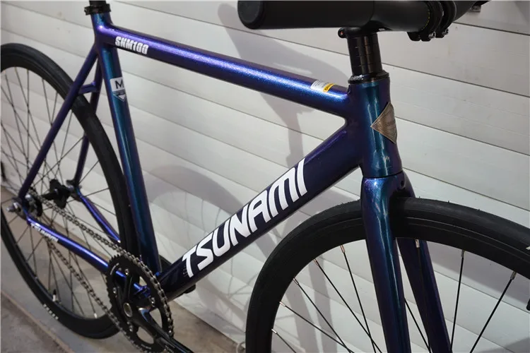 Chameleon Frame TSUNAMI SNM100 Fixie Frame Single Speed Fixed Gear