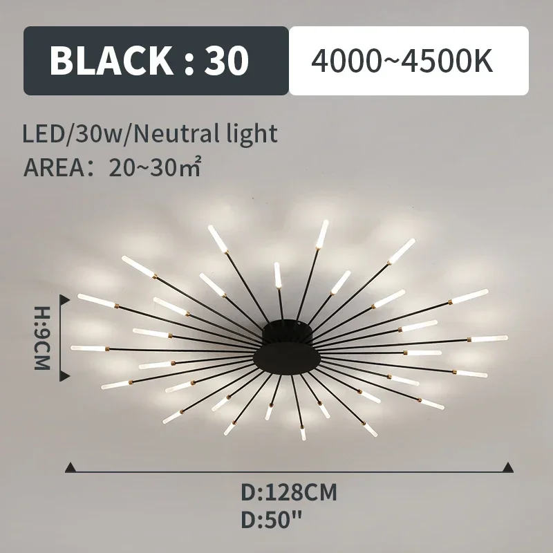 black 30 lights