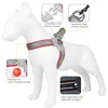 Dog Harness Adjustable Pet Harness Vest For Small Large Dogs Cats Reflective Mesh Dog Chest Strap French Bulldog Walk Training 4