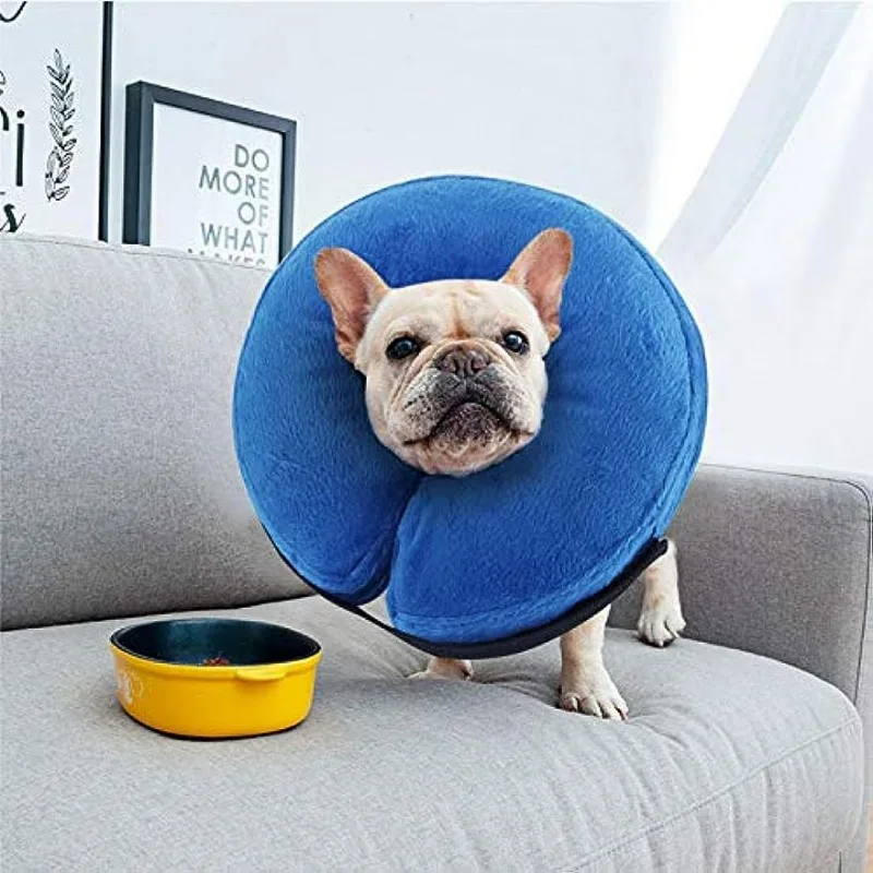 Inflatable Dog Cone 2