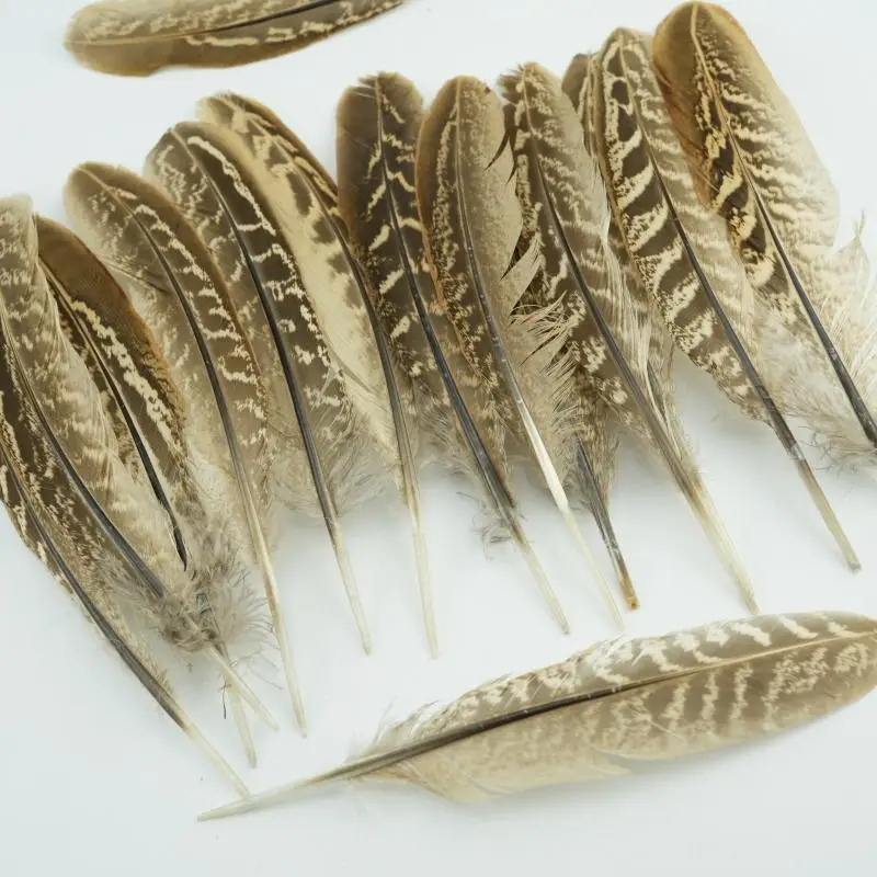 15-18cm Natural Pheasant Feathers 1