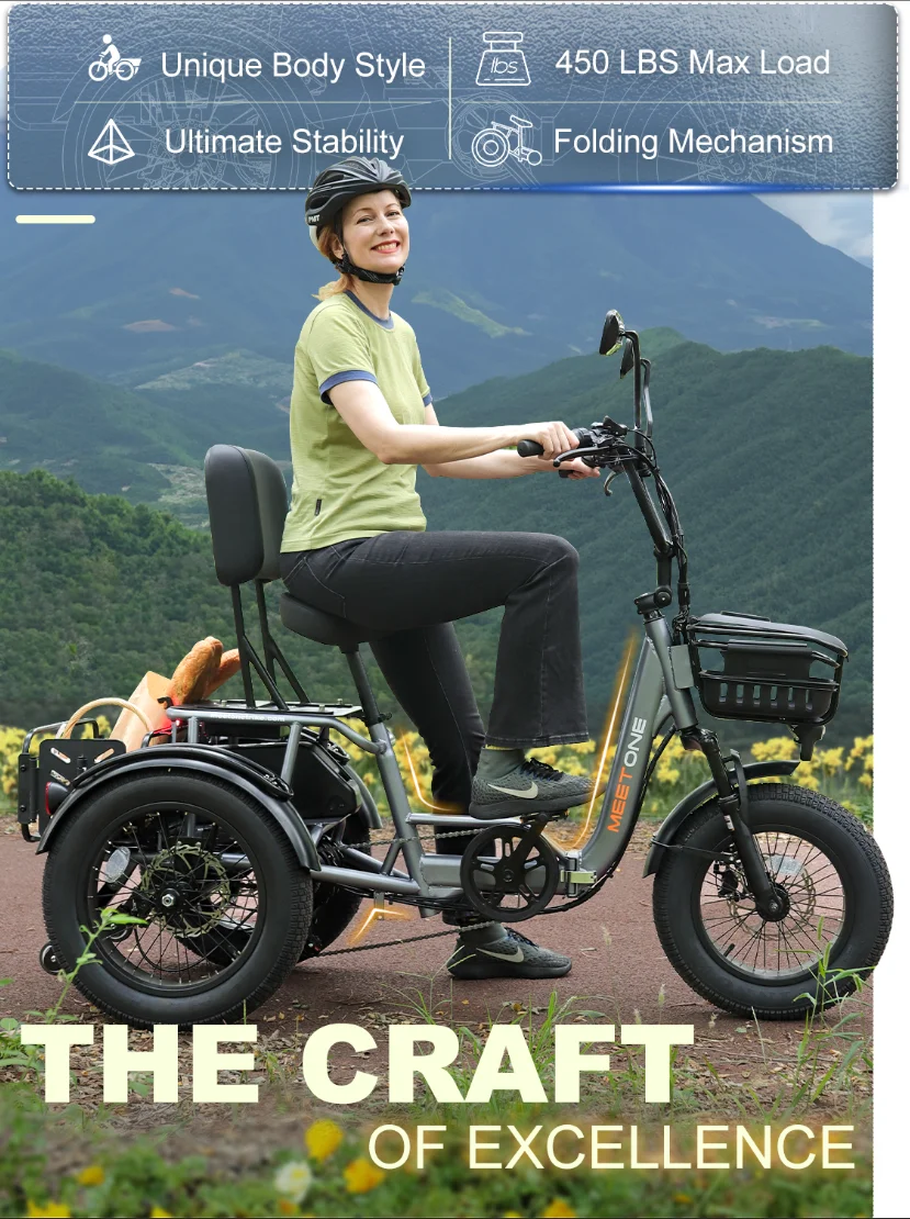 Meetone Breez Folding Electric Trike750W 20AH Lithium Battery Electro Trike Reversing Function 18*4-in Fat Tire Mountain E-Trike