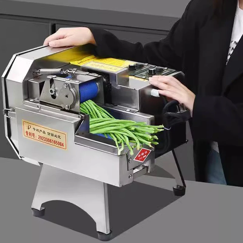 110V/220V Shallot Vegetable Cutter Machine Multifunctional Commercial Dicing Machine Carrot Potato Fruit Electric Slicer 6
