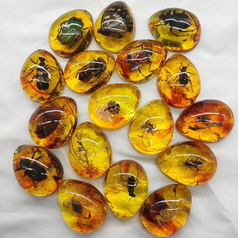 Resin Crafts 1PC DIY Insects Amber