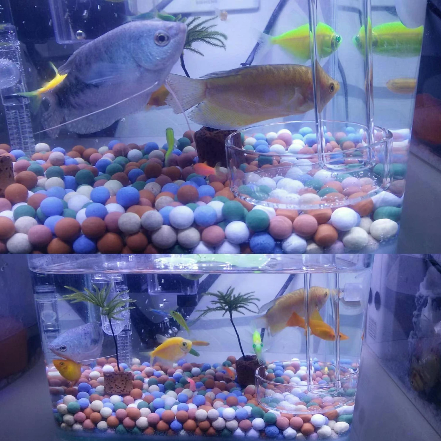 Aquarium Tank Substrate Colorful Aquarium Tank Mineral Supplement Substrate Tourmaline Balls for Betta Shrimp Mineral Freshwater Biological Ball 100g